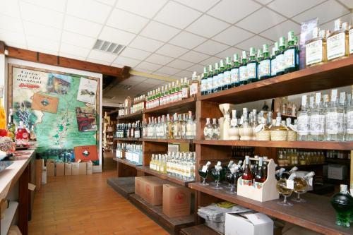 Monterosa Hotel 3*